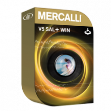 proDAD Mercalli V6 SAL